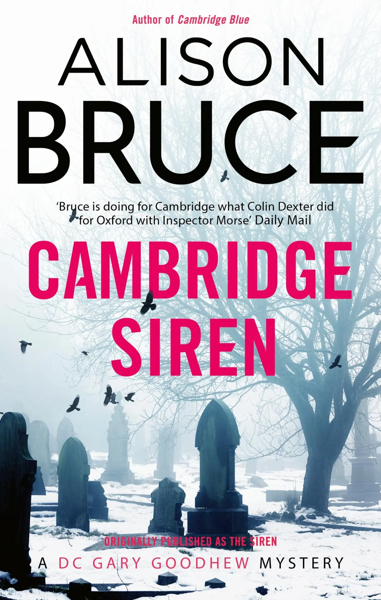 Cover: 9781849016070 | The the Siren | Alison Bruce | Taschenbuch | Kartoniert / Broschiert