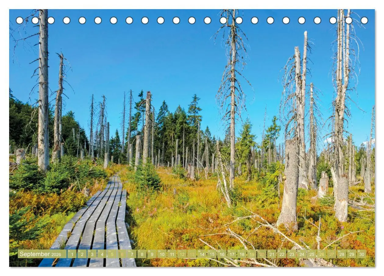Bild: 9783457466070 | Arber, Rachel und Lusen: Der Hintere Bayerische Wald (Tischkalender...