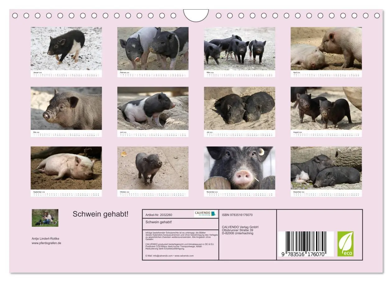 Bild: 9783516176070 | Schwein gehabt! (Wandkalender 2026 DIN A4 quer), CALVENDO...