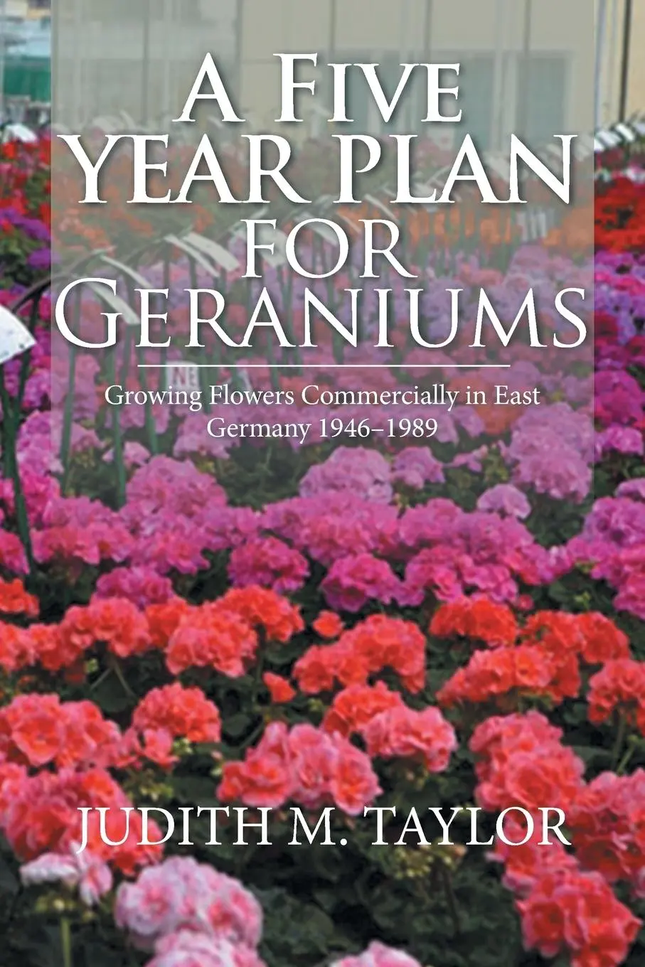 Cover: 9781984576170 | A Five Year Plan for Geraniums | Judith M. Taylor | Taschenbuch | 2019