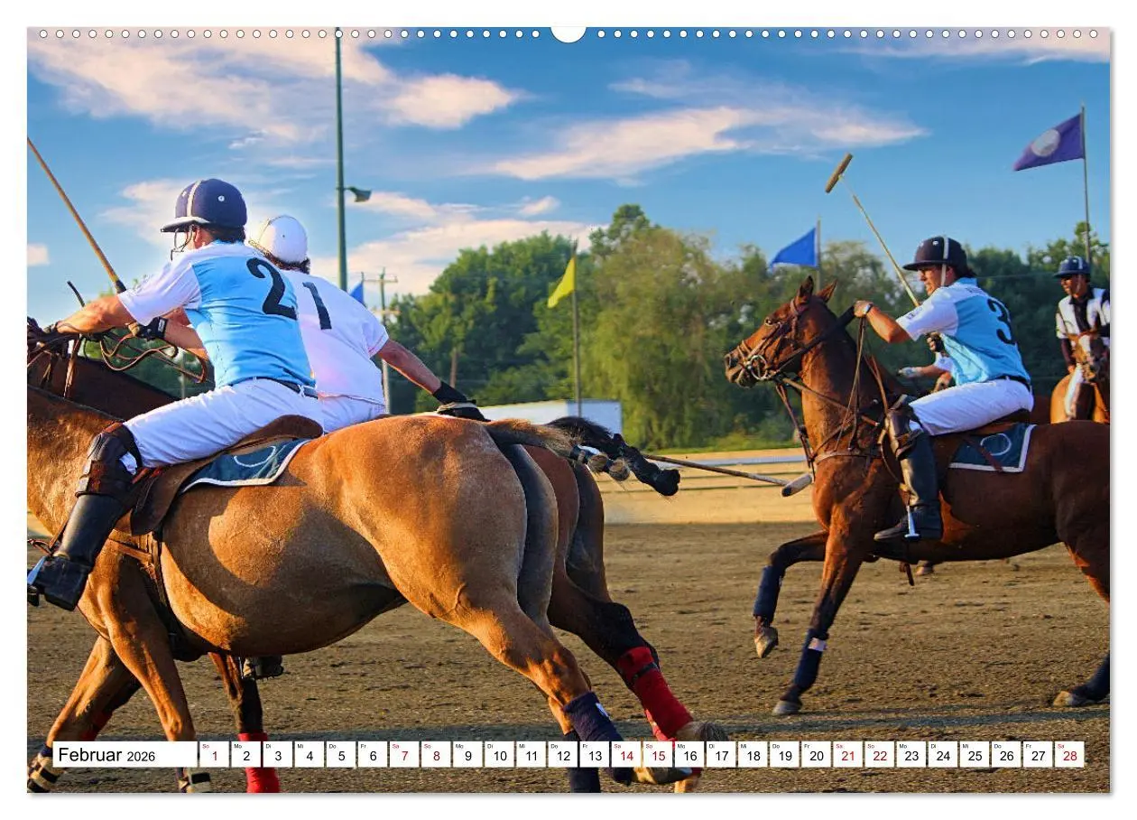 Bild: 9783457386170 | Mannschaftssport - im Team zum Sieg (hochwertiger Premium...