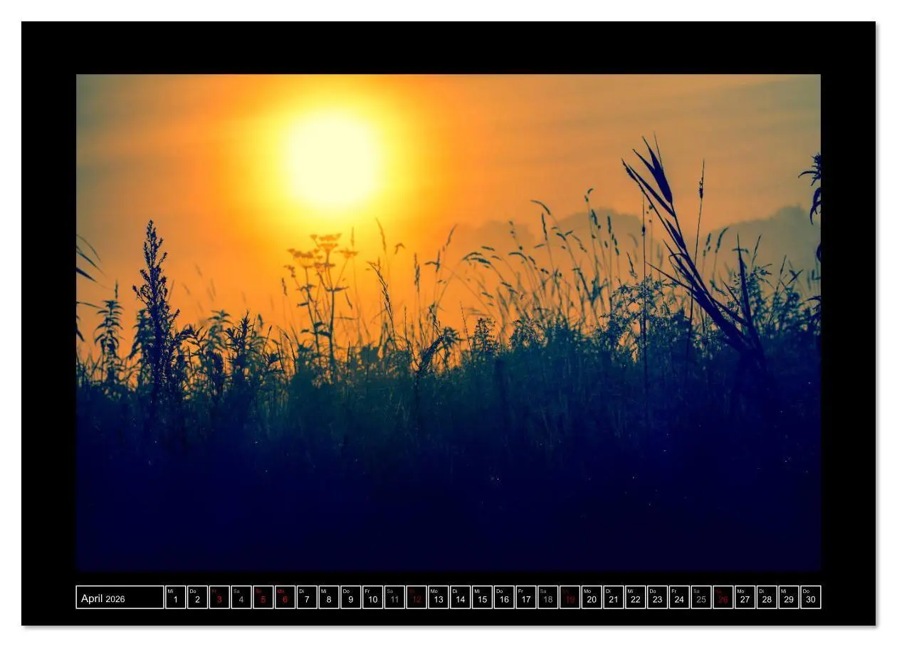 Bild: 9783457906170 | Lichtlandschaft Worpswede (Wandkalender 2026 DIN A3 quer), CALVENDO...