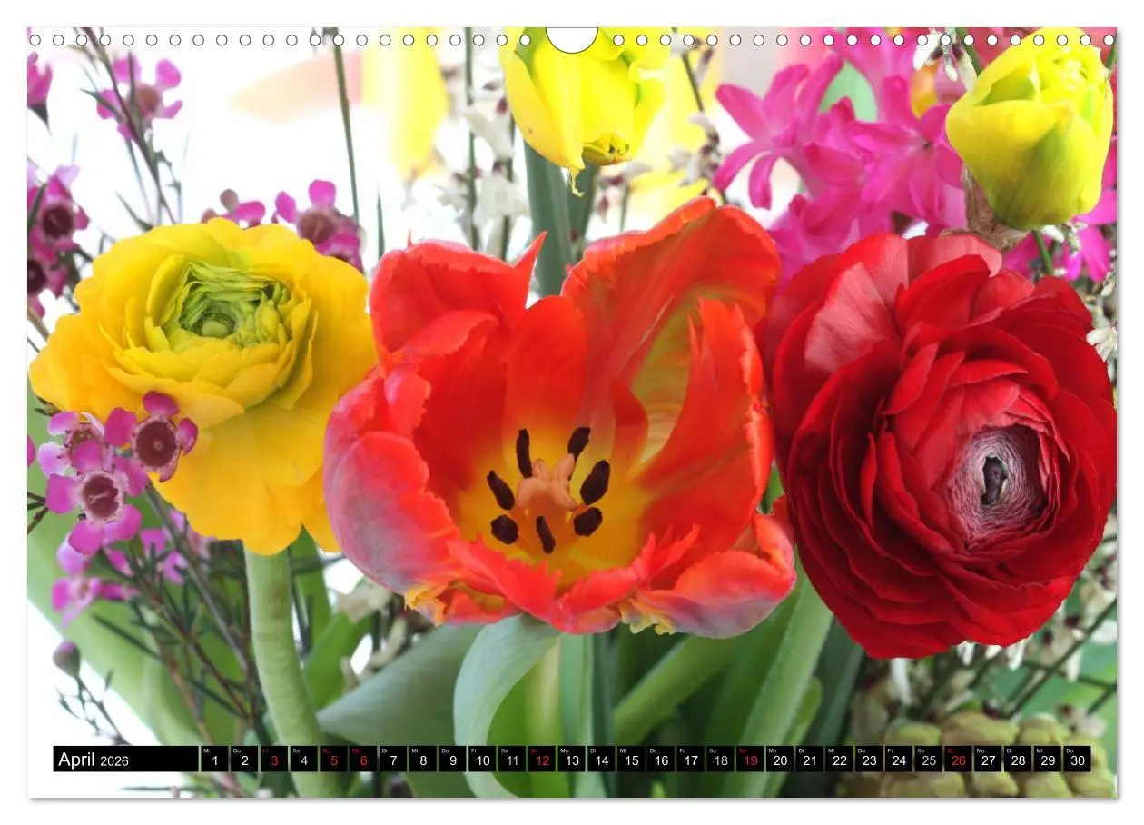 Bild: 9783516096170 | Bunte Sträuße (Wandkalender 2026 DIN A3 quer), CALVENDO Monatskalender