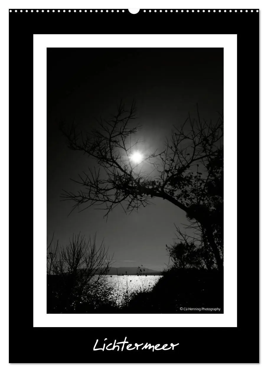 Cover: 9783516476170 | Lichtermeer (Wandkalender 2026 DIN A2 hoch), CALVENDO Monatskalender