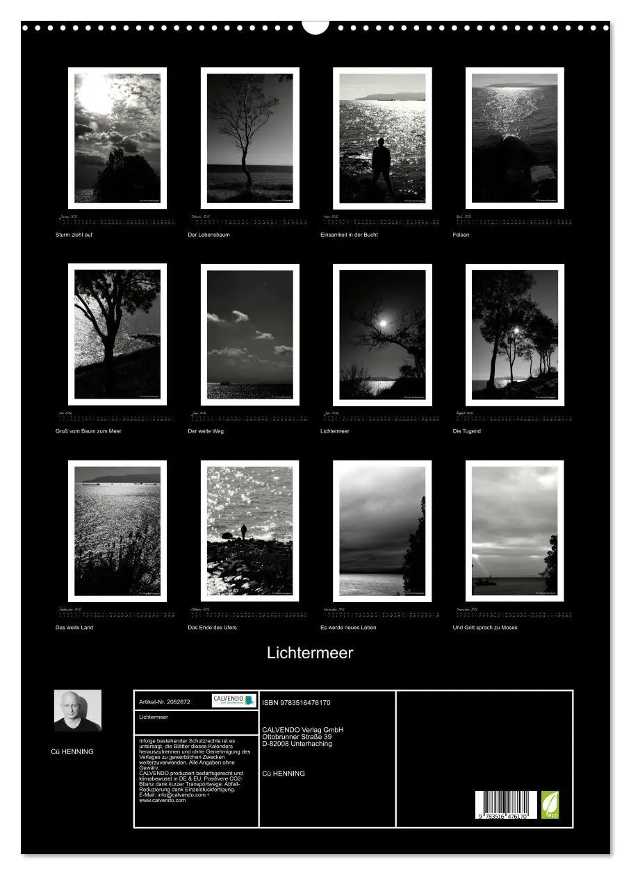 Bild: 9783516476170 | Lichtermeer (Wandkalender 2026 DIN A2 hoch), CALVENDO Monatskalender