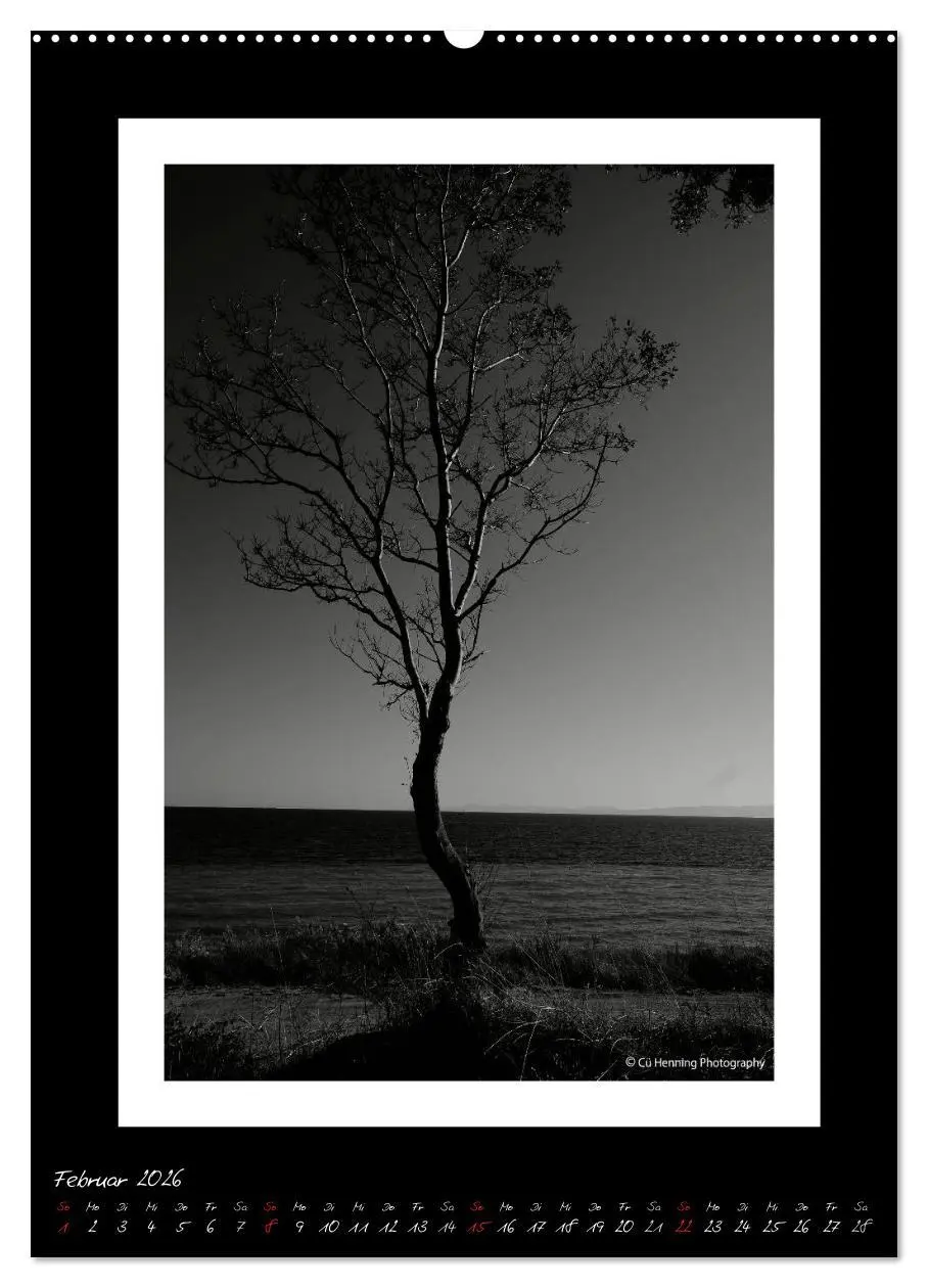 Bild: 9783516476170 | Lichtermeer (Wandkalender 2026 DIN A2 hoch), CALVENDO Monatskalender
