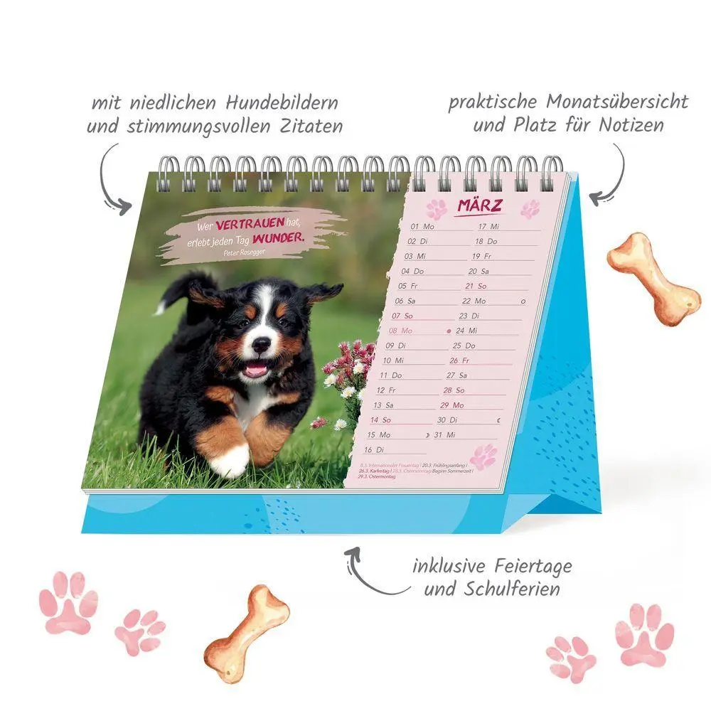 Bild: 9783988026170 | TRÖTSCH - Aufstellkalender Glück auf vier Pfoten 2027 | KG | Kalender