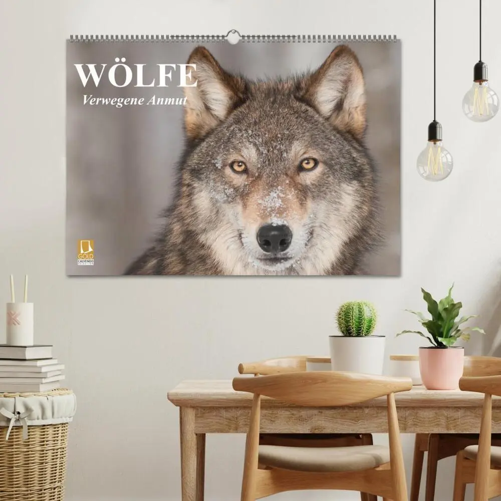Bild: 9783435736270 | Wölfe. Verwegene Anmut (Wandkalender 2025 DIN A2 quer), CALVENDO...