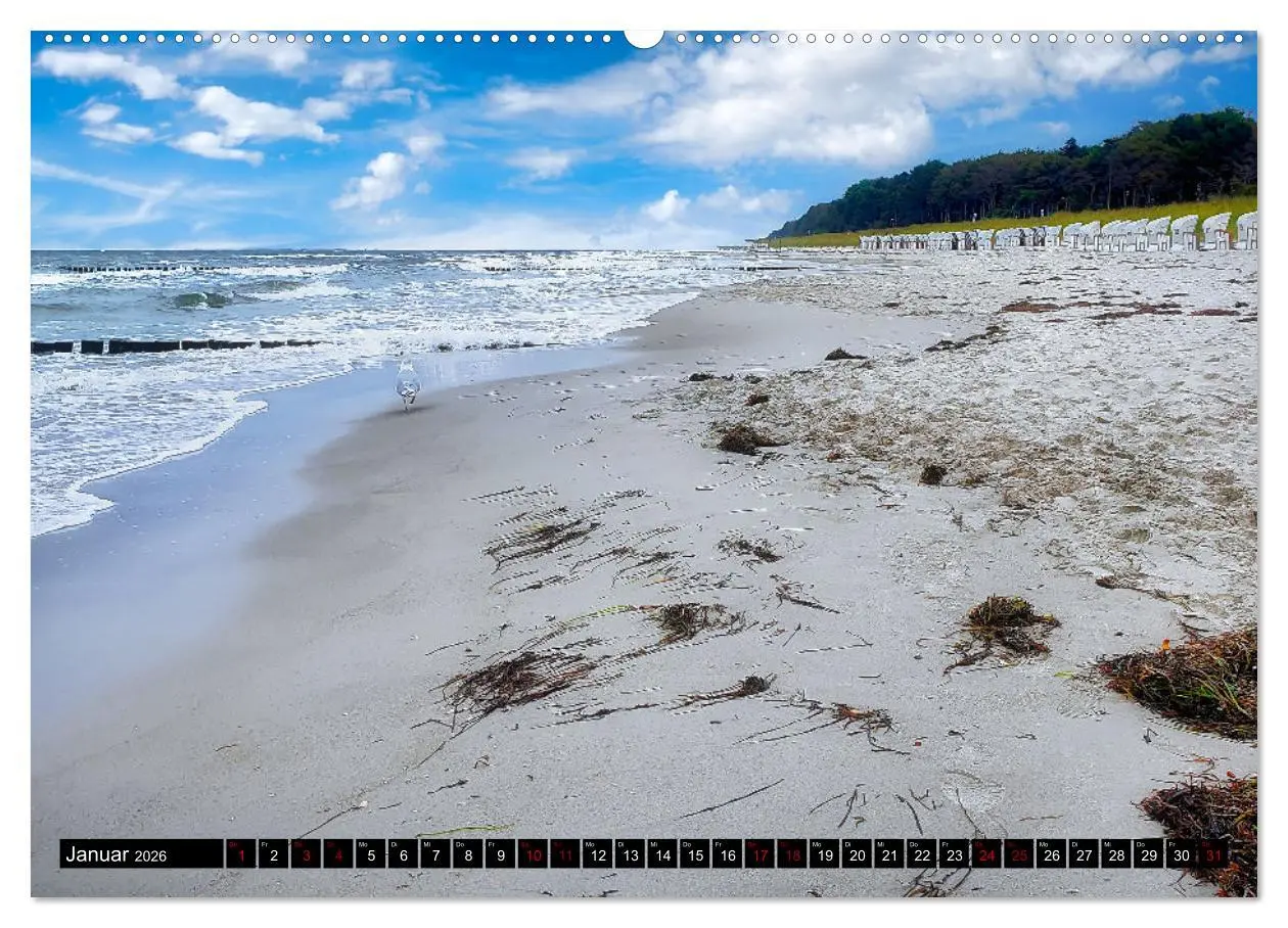 Bild: 9783457446270 | Fischland - Darß- Zingst (hochwertiger Premium Wandkalender 2026...