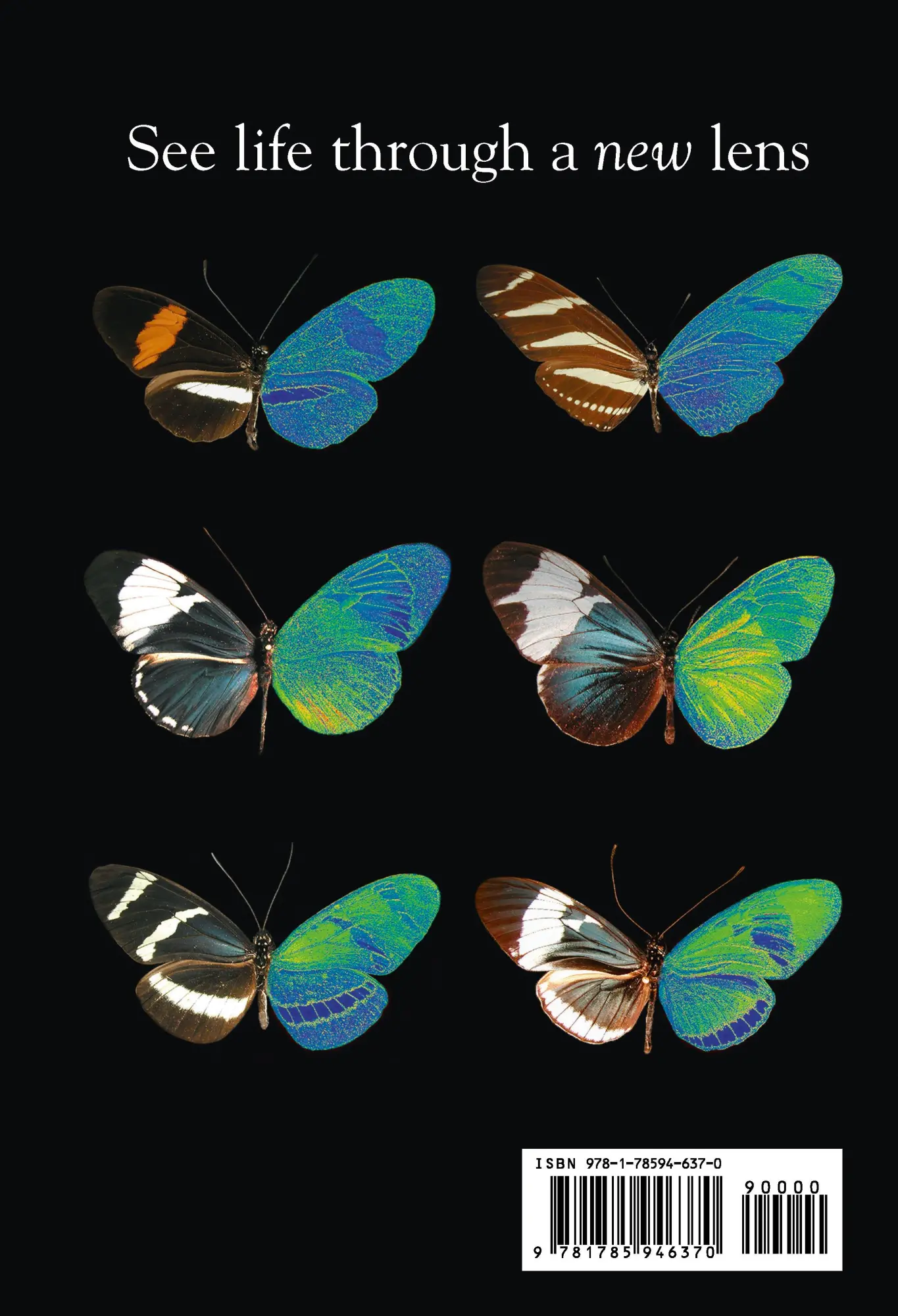 Rückseite: 9781785946370 | Life in Colour | How Animals See the World | Martin Stevens | Buch