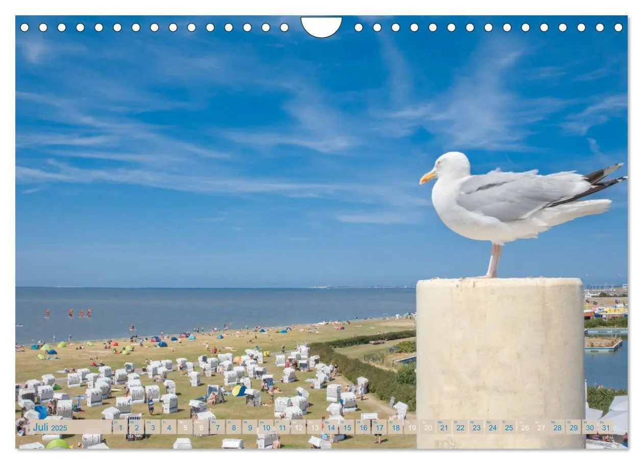 Bild: 9783435036370 | Mein Land, Ostfriesland (Wandkalender 2025 DIN A4 quer), CALVENDO...