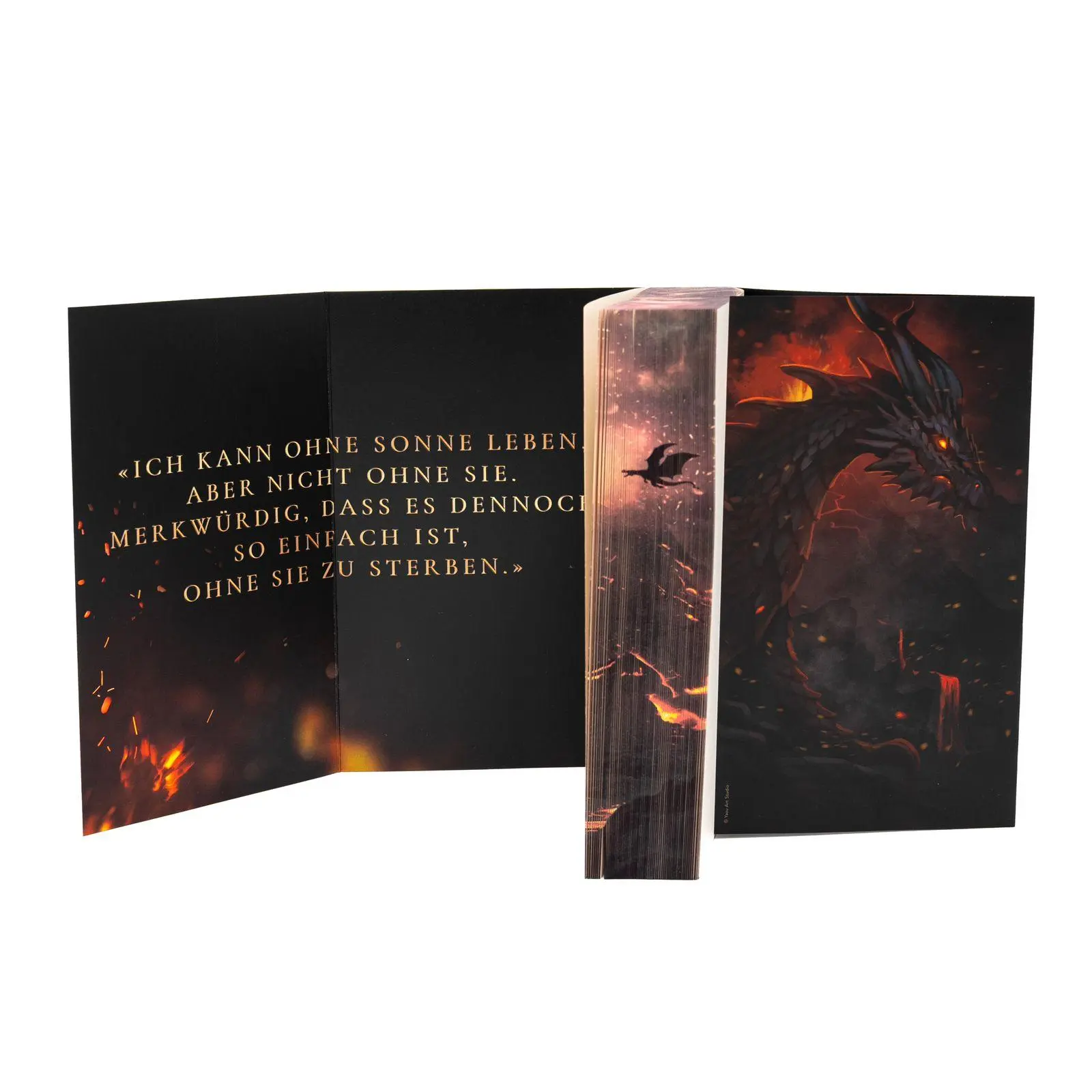 Bild: 9783499016370 | Ember King | Marie Niehoff | Taschenbuch | Die Dragonbound-Trilogie