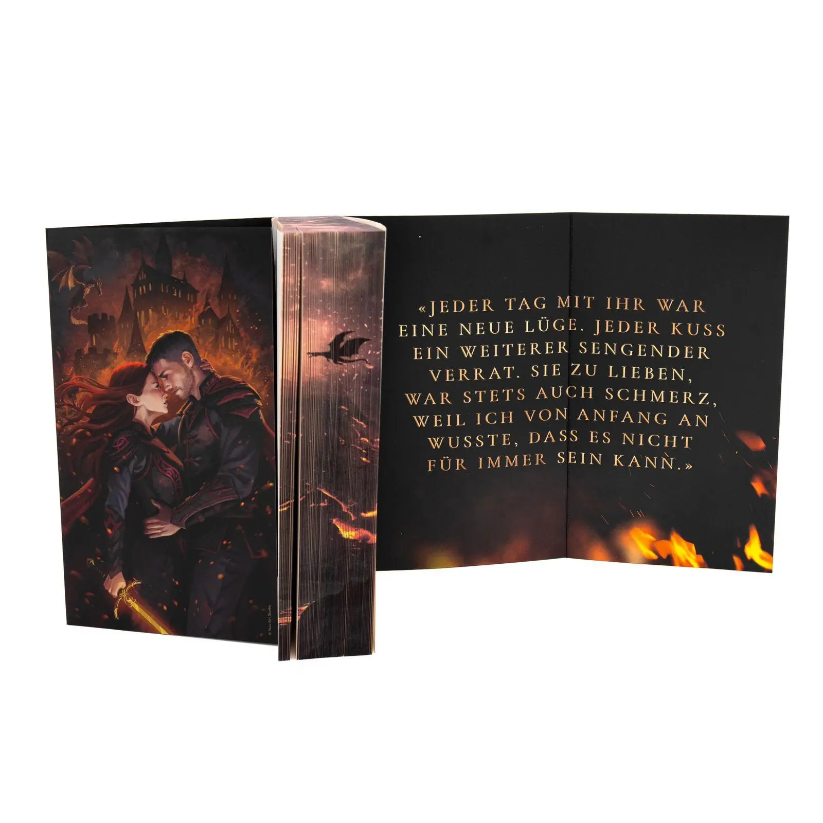 Bild: 9783499016370 | Ember King | Marie Niehoff | Taschenbuch | Die Dragonbound-Trilogie