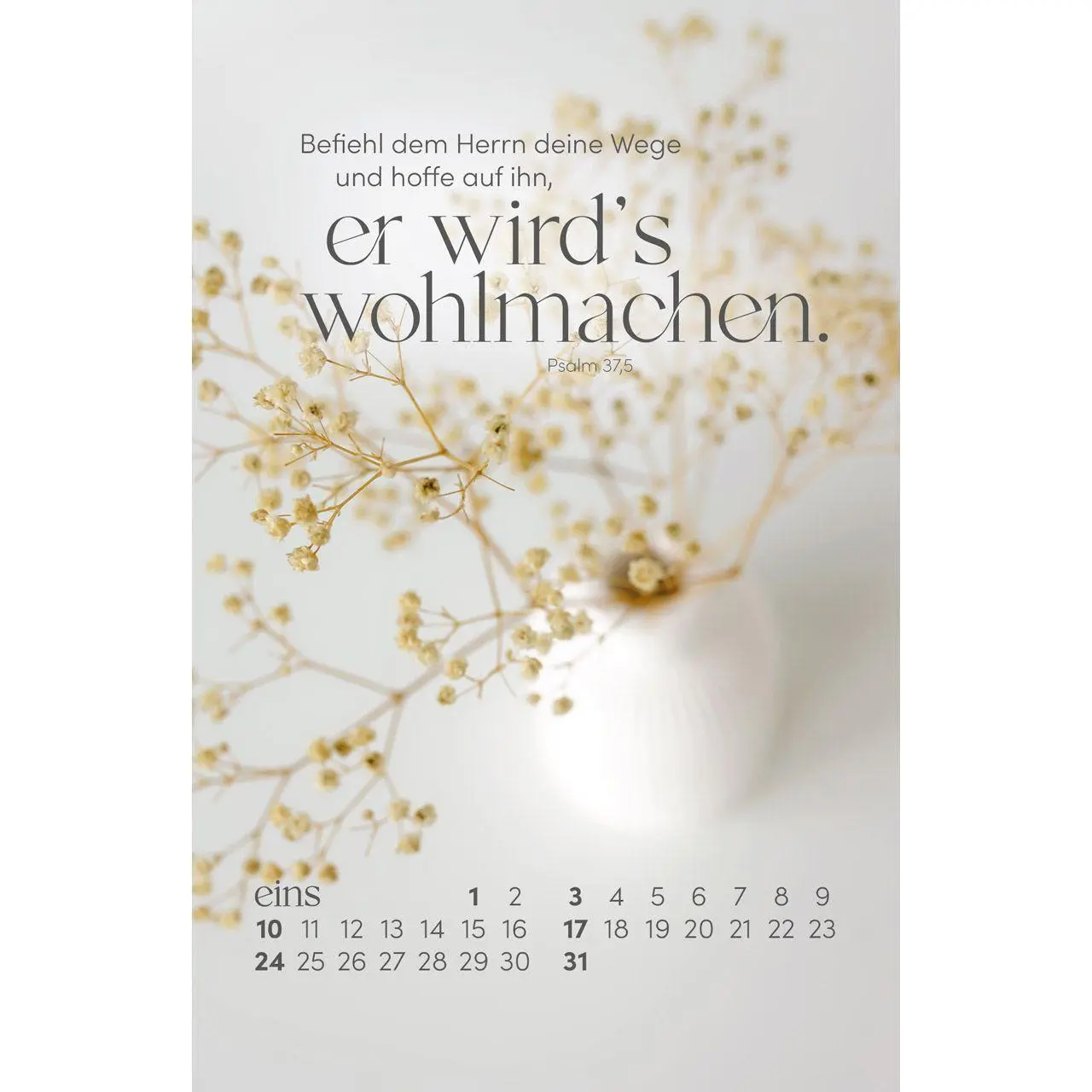Bild: 9783754816370 | Sein Wort. Dein Fels. 2027 | Gottes Zusagen für dein Jahr | Kalender