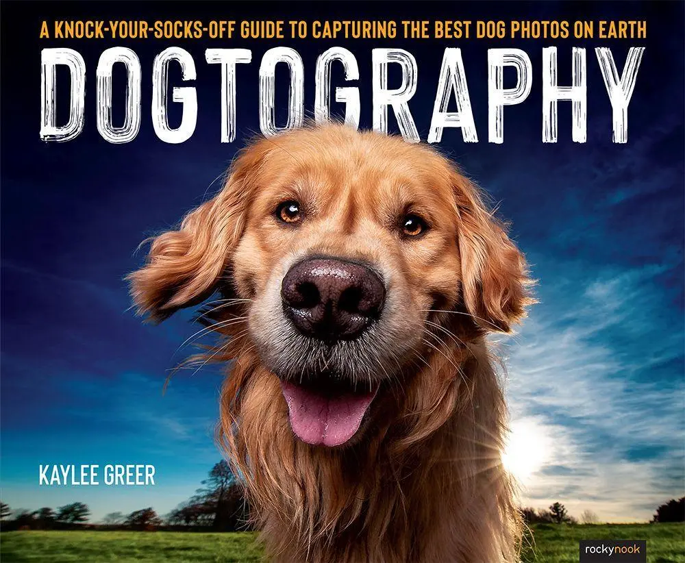 Cover: 9781681986470 | Dogtography | Kaylee Greer | Taschenbuch | Kartoniert / Broschiert