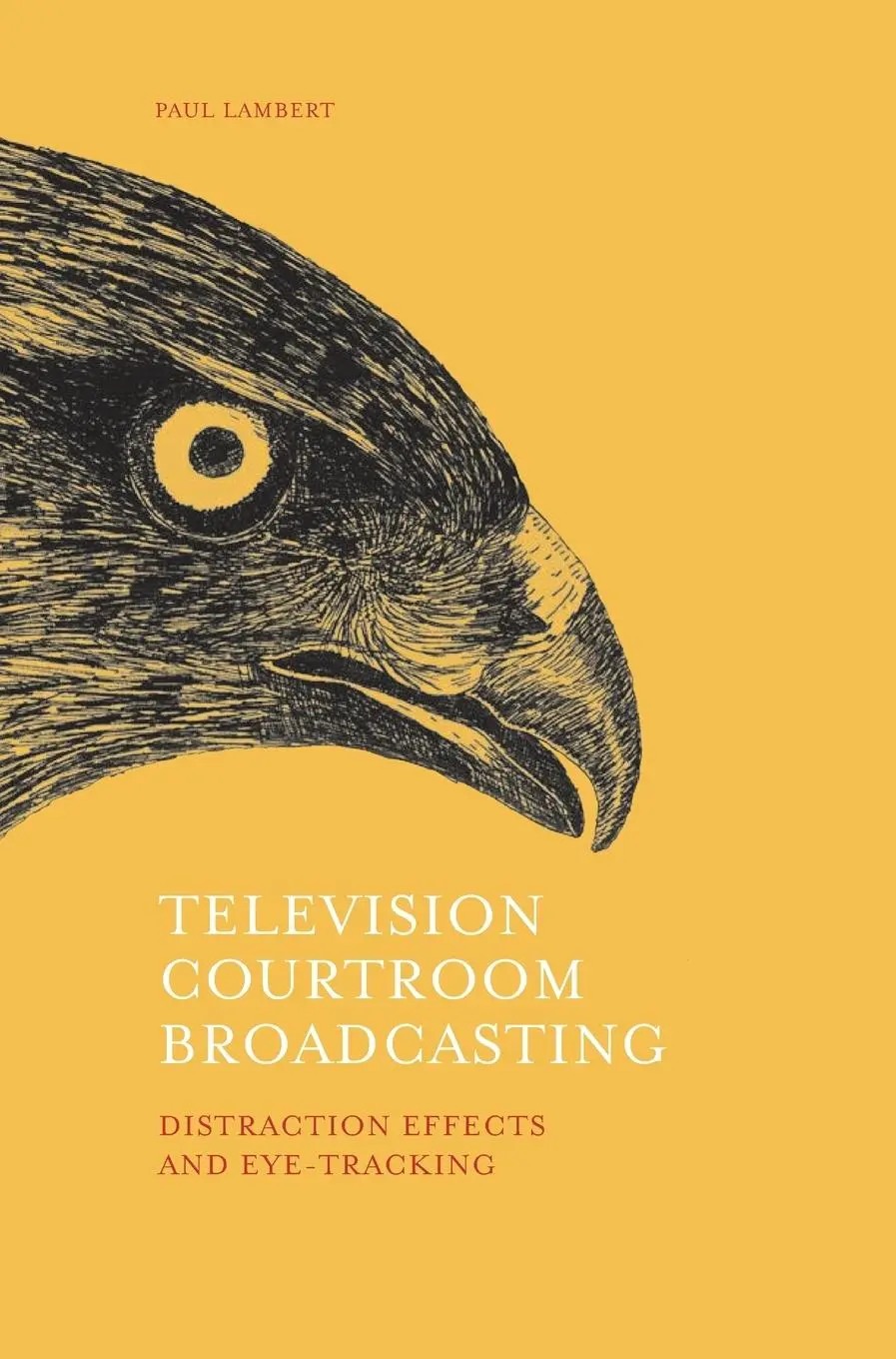 Cover: 9781841506470 | Television Courtroom Broadcasting | Paul Lambert | Buch | Gebunden