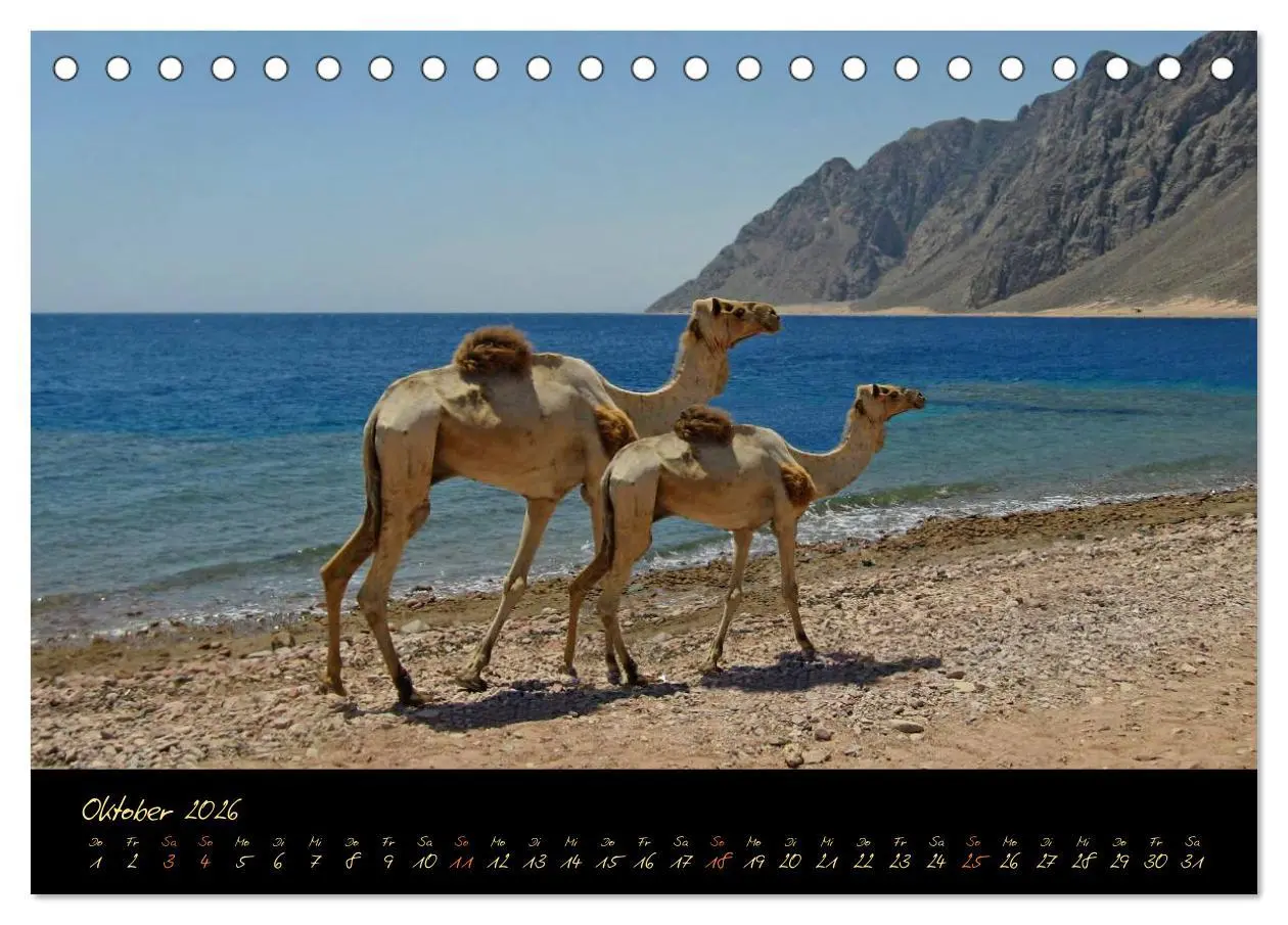 Bild: 9783516056570 | Ägypten - Eine Entdeckungsreise (Tischkalender 2026 DIN A5 quer),...
