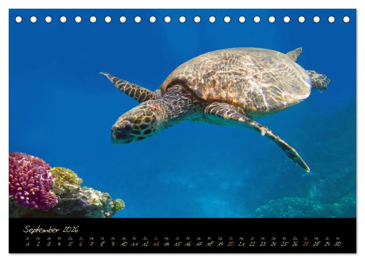 Bild: 9783516056570 | Ägypten - Eine Entdeckungsreise (Tischkalender 2026 DIN A5 quer),...
