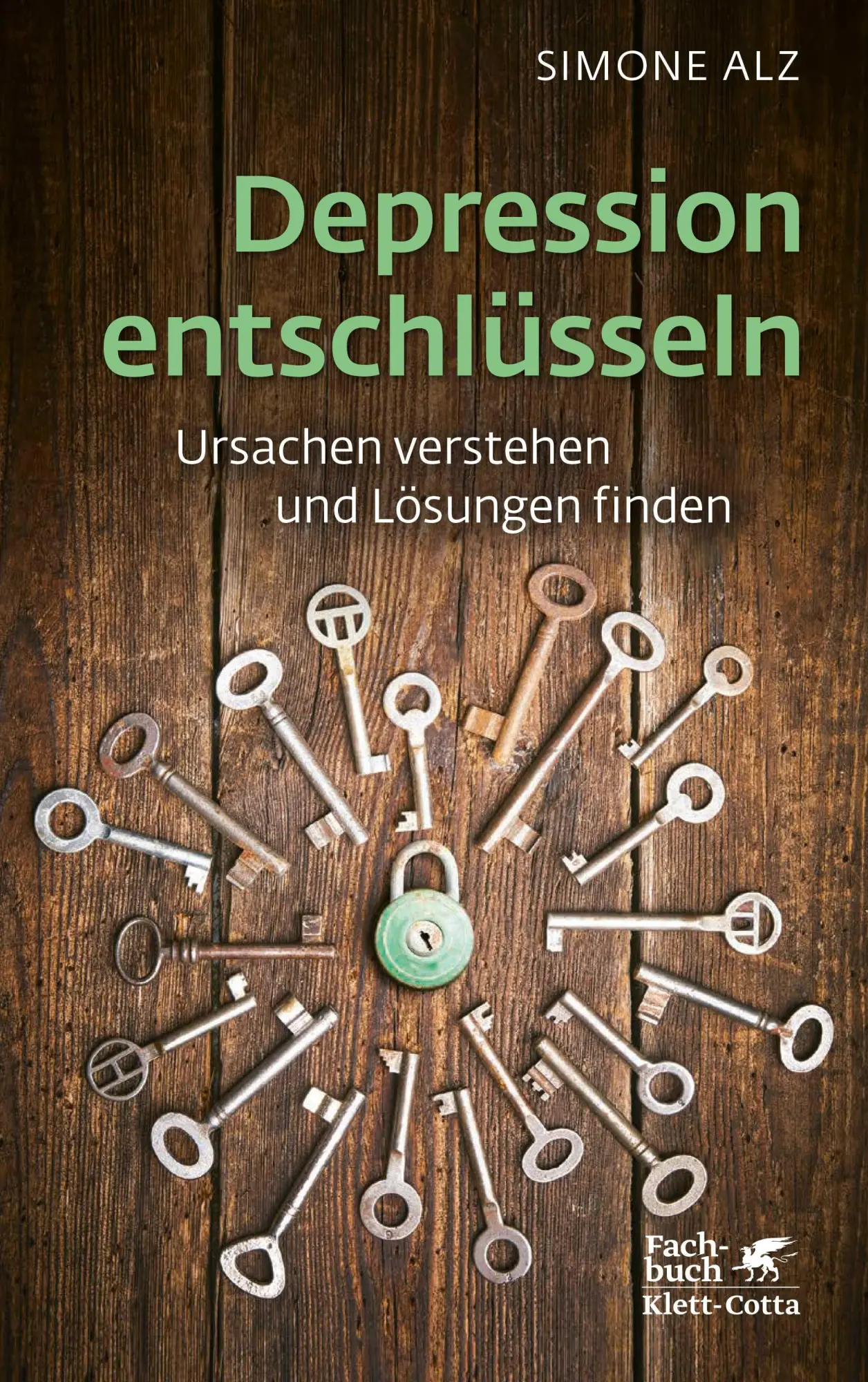Cover: 9783608986570 | Depression entschlüsseln | Ursachen verstehen und Lösungen finden