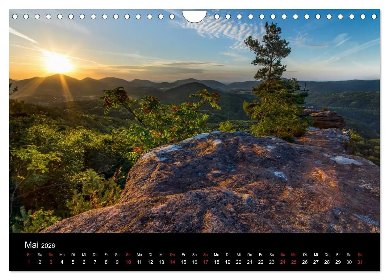 Bild: 9783516046670 | Mystischer Pfälzer Wald (Wandkalender 2026 DIN A4 quer), CALVENDO...
