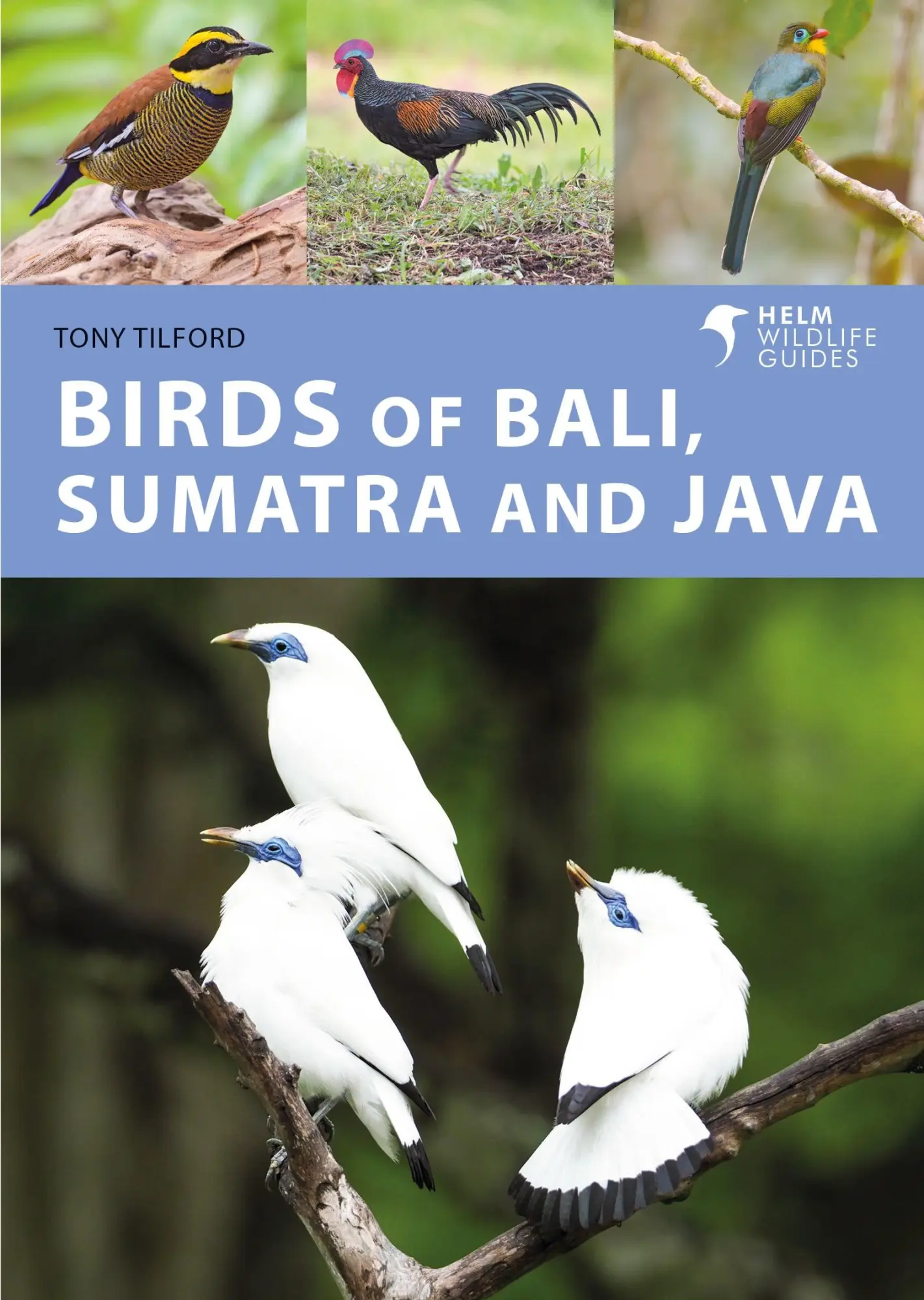 Cover: 9781472986870 | Birds of Bali, Sumatra and Java | Tony Tilford | Taschenbuch | 2023