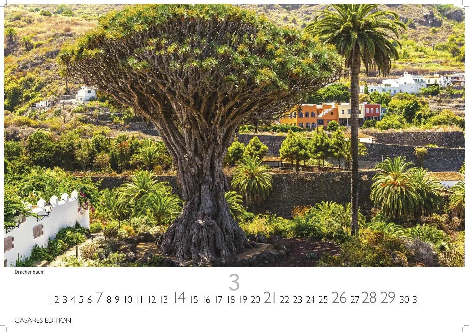 Bild: 9781835246870 | Teneriffa Kalender 2027 - Wandkalender Fotokalender Spanien 35x50cm...