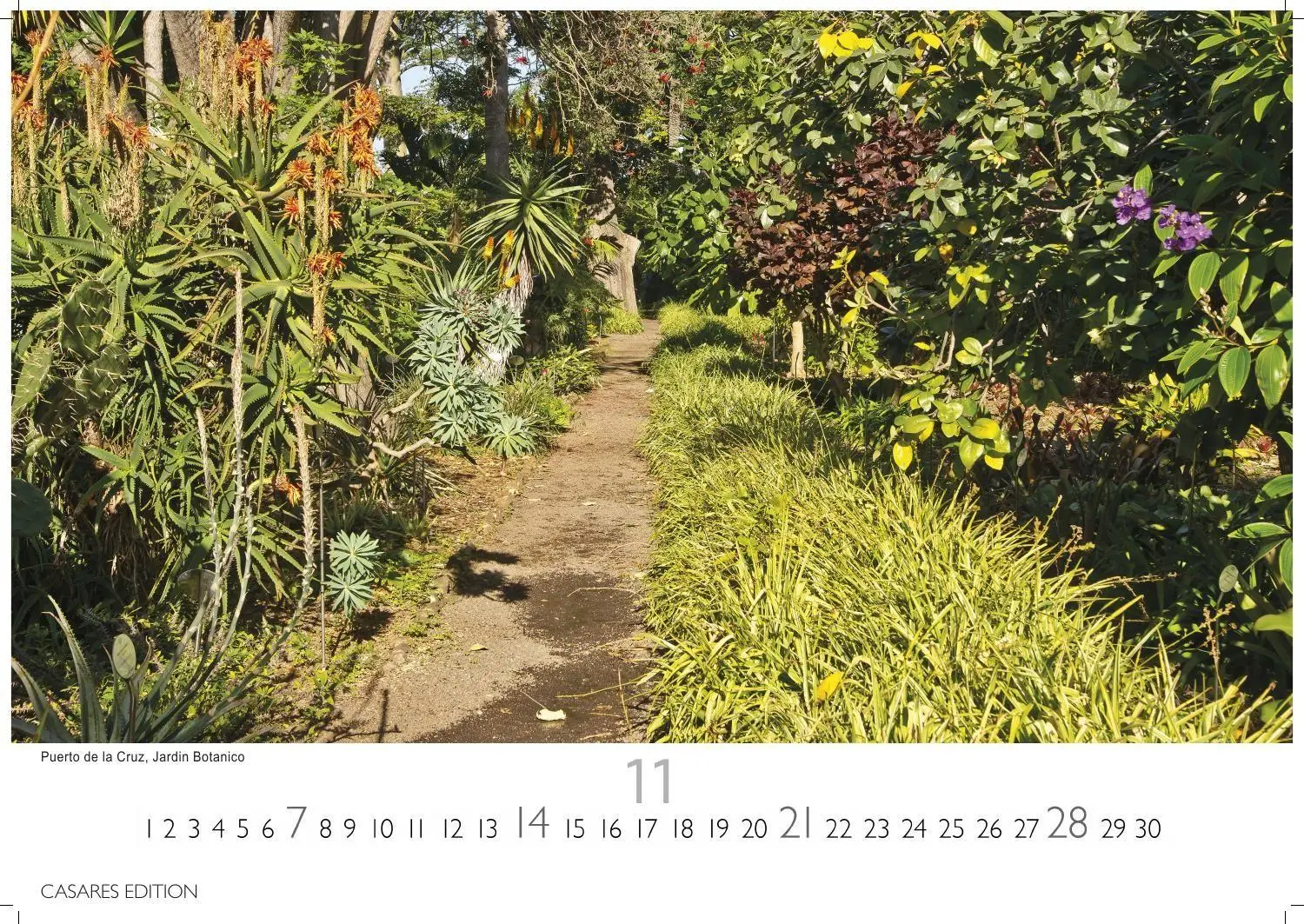 Bild: 9781835246870 | Teneriffa Kalender 2027 - Wandkalender Fotokalender Spanien 35x50cm...