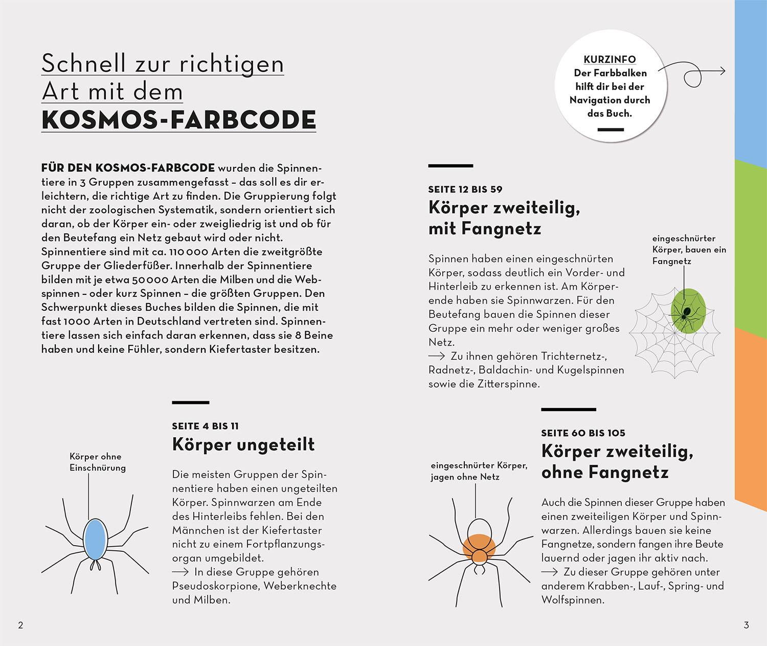 Bild: 9783440176870 | Basic Spinnen | einfach und sicher erkennen | Lars Wilker | Buch