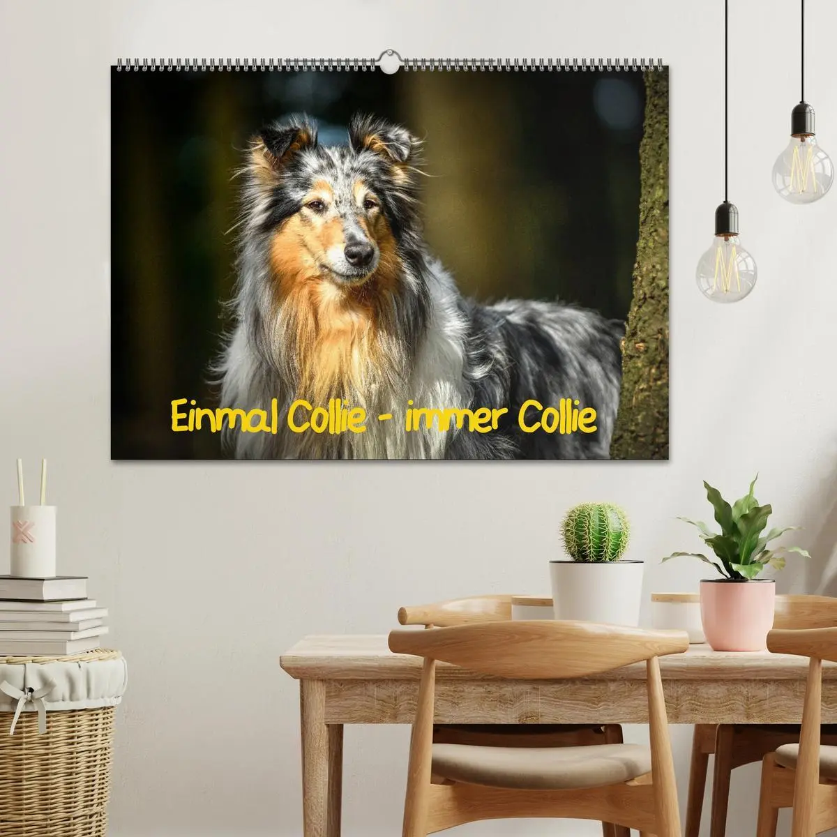 Bild: 9783457936870 | Einmal Collie - immer Collie (Wandkalender 2026 DIN A2 quer),...
