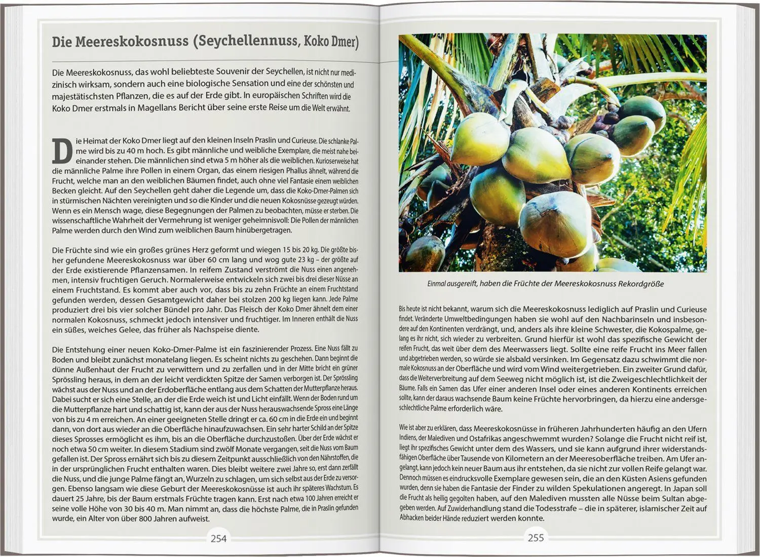 Bild: 9783616016870 | DUMONT Reise-Handbuch Reiseführer Seychellen | mit Extra-Reisekarte