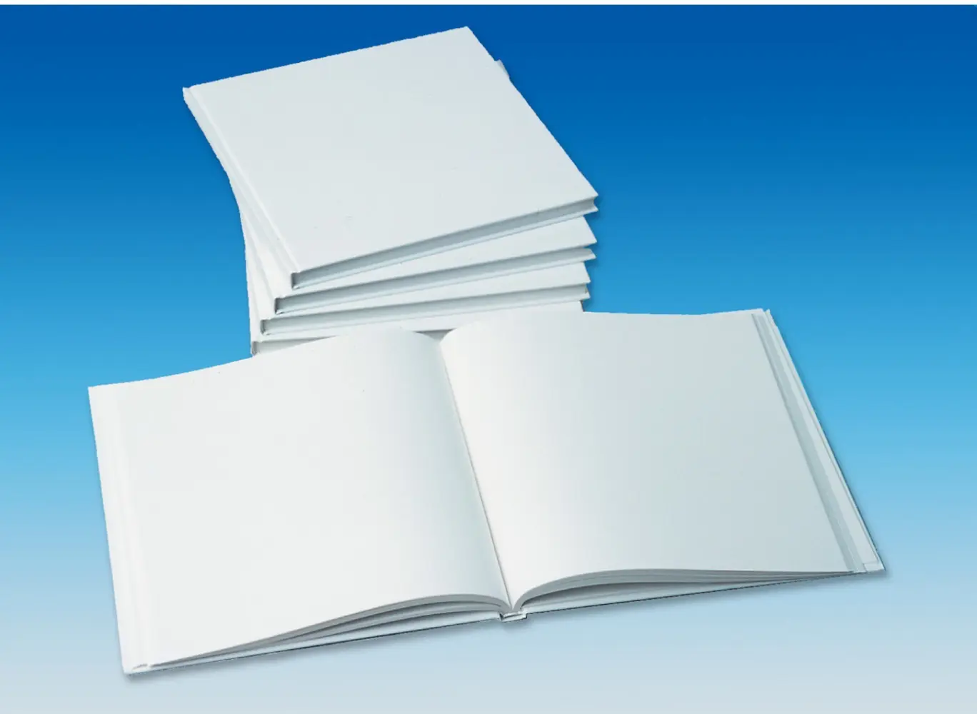 Cover: 9783039766970 | Blanko-Buch | 100 Seiten | Buch | 100 S. | Deutsch | 2025