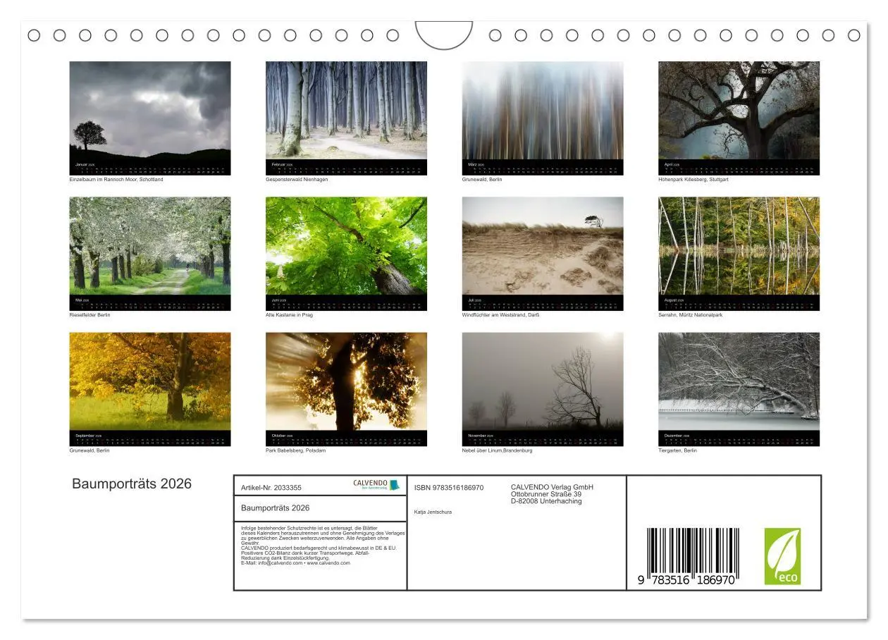 Bild: 9783516186970 | Baumporträts 2026 (Wandkalender 2026 DIN A4 quer), CALVENDO...