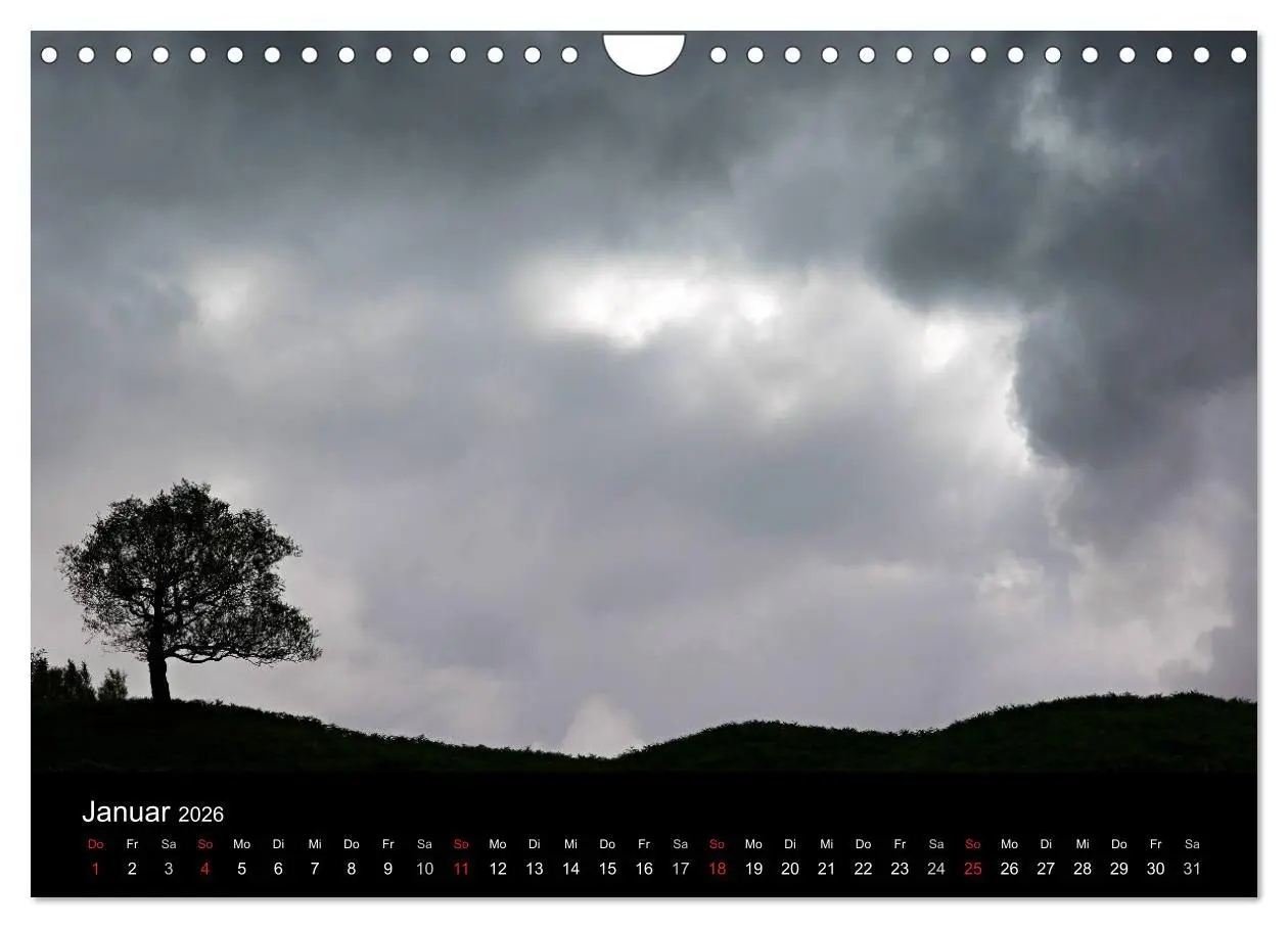 Bild: 9783516186970 | Baumporträts 2026 (Wandkalender 2026 DIN A4 quer), CALVENDO...