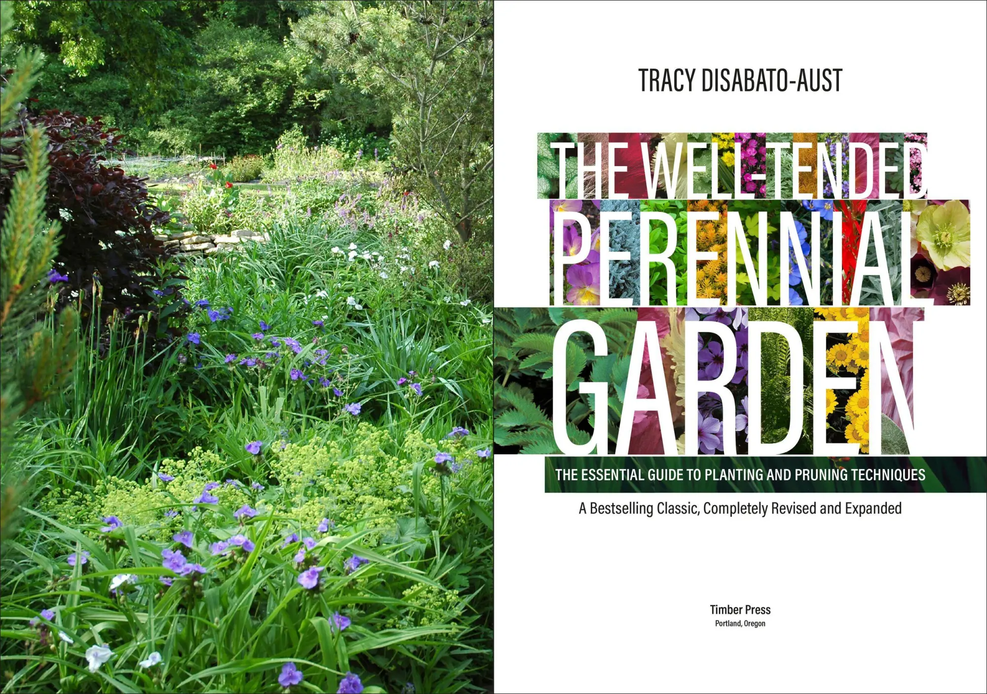 Bild: 9781604697070 | The Well-Tended Perennial Garden | Tracy Disabato-Aust | Buch | 2017