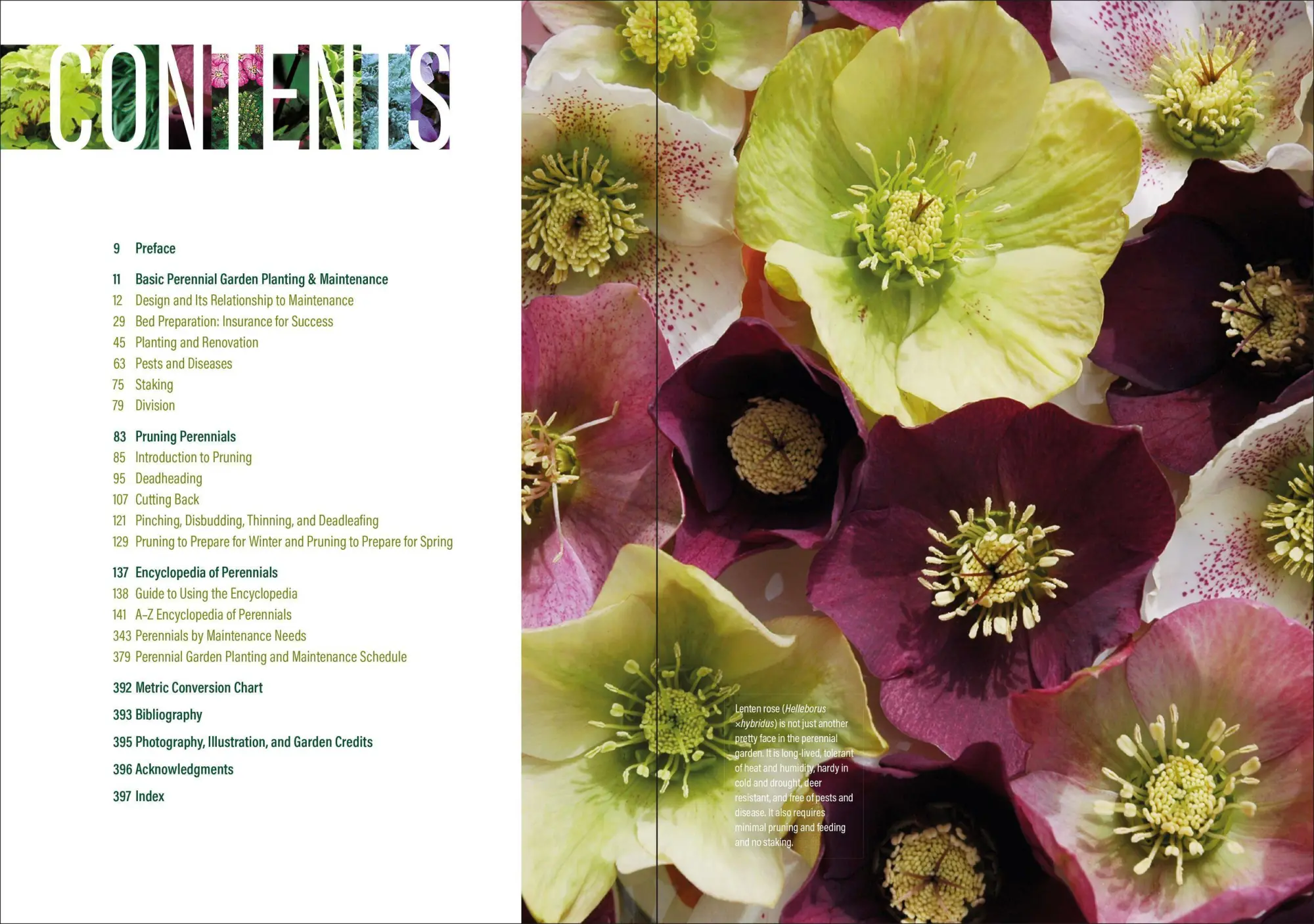 Bild: 9781604697070 | The Well-Tended Perennial Garden | Tracy Disabato-Aust | Buch | 2017
