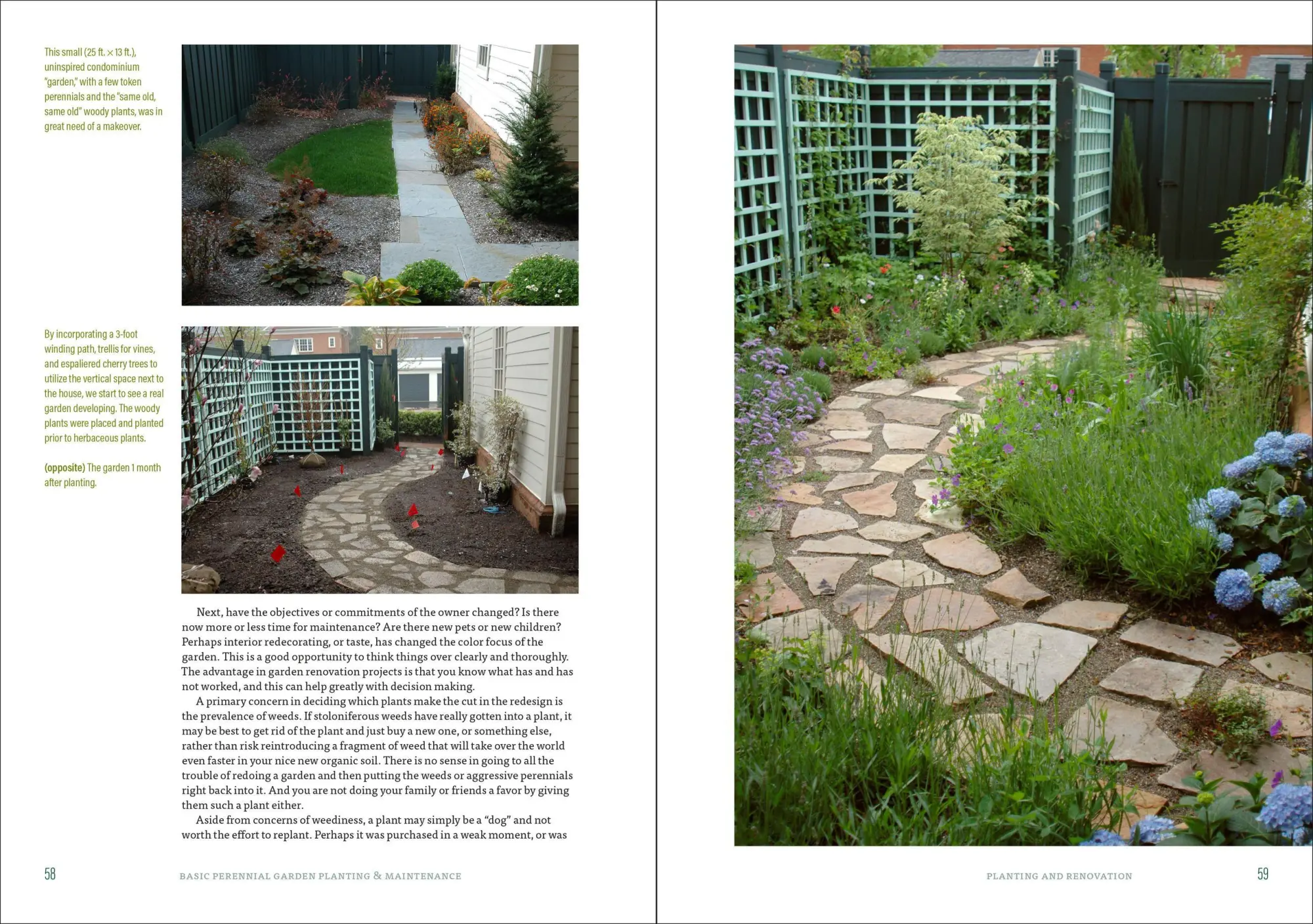 Bild: 9781604697070 | The Well-Tended Perennial Garden | Tracy Disabato-Aust | Buch | 2017