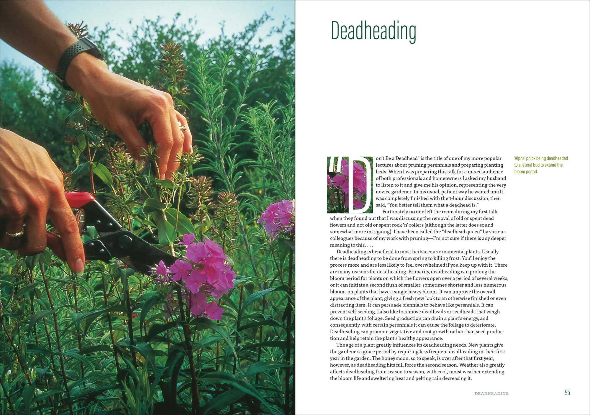 Bild: 9781604697070 | The Well-Tended Perennial Garden | Tracy Disabato-Aust | Buch | 2017