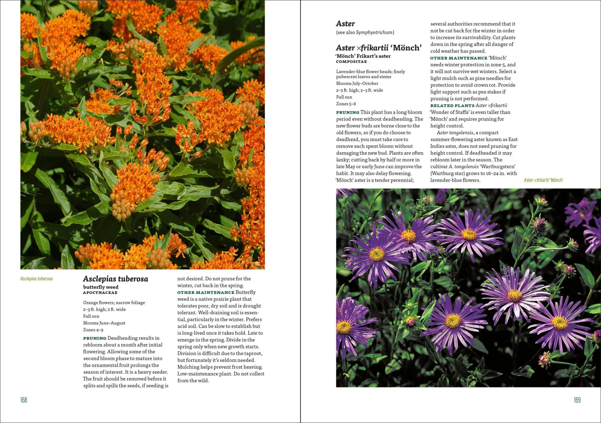 Bild: 9781604697070 | The Well-Tended Perennial Garden | Tracy Disabato-Aust | Buch | 2017