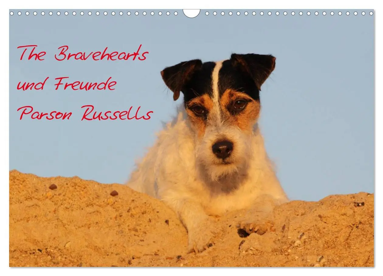 Cover: 9783457987070 | The Bravehearts und Freunde - Parson Russells (Wandkalender 2026...
