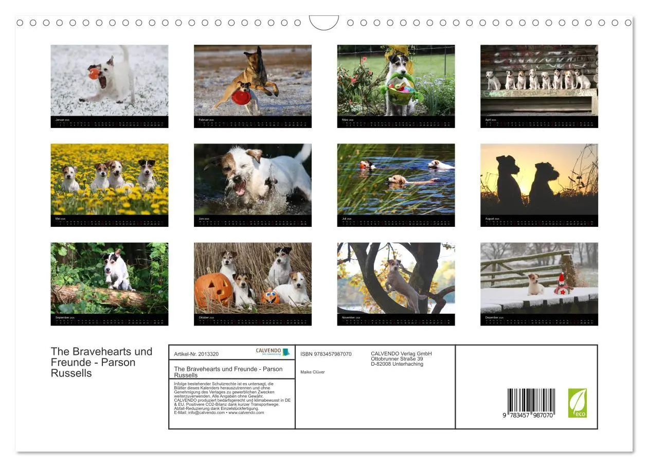 Bild: 9783457987070 | The Bravehearts und Freunde - Parson Russells (Wandkalender 2026...