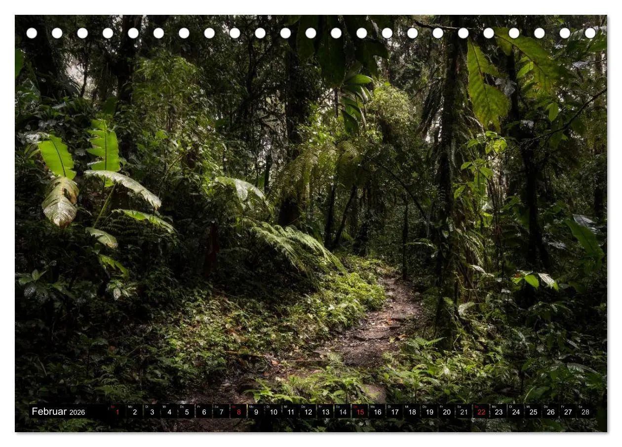 Bild: 9783516077070 | COSTA RICA Farben und Licht (Tischkalender 2026 DIN A5 quer),...