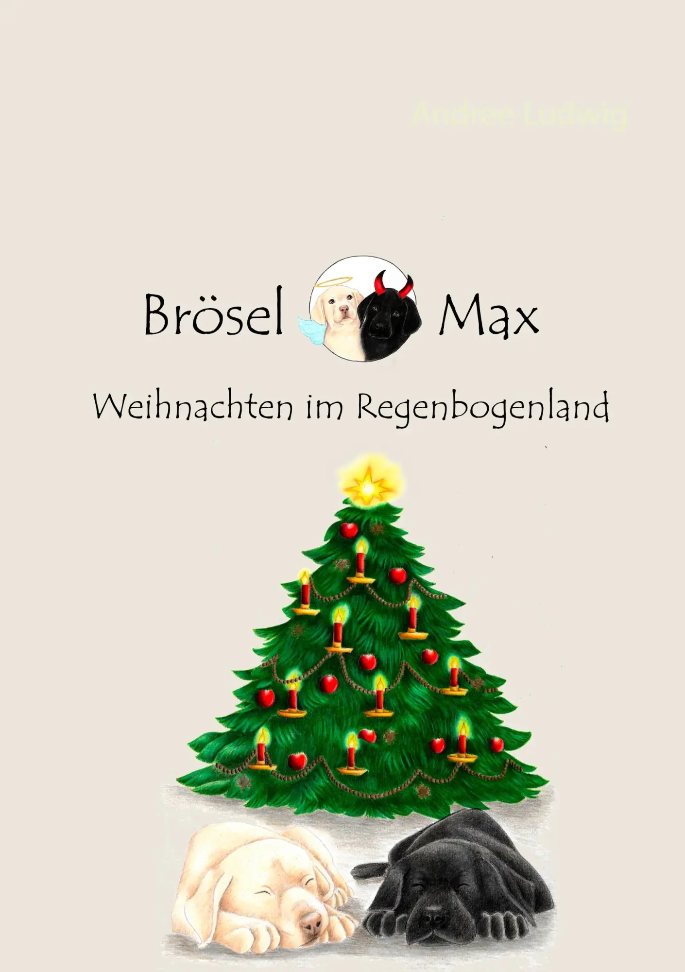 Cover: 9783748117070 | Brösel &amp; Max | Weihnachten im Regenbogenland | Andree Ludwig | Buch