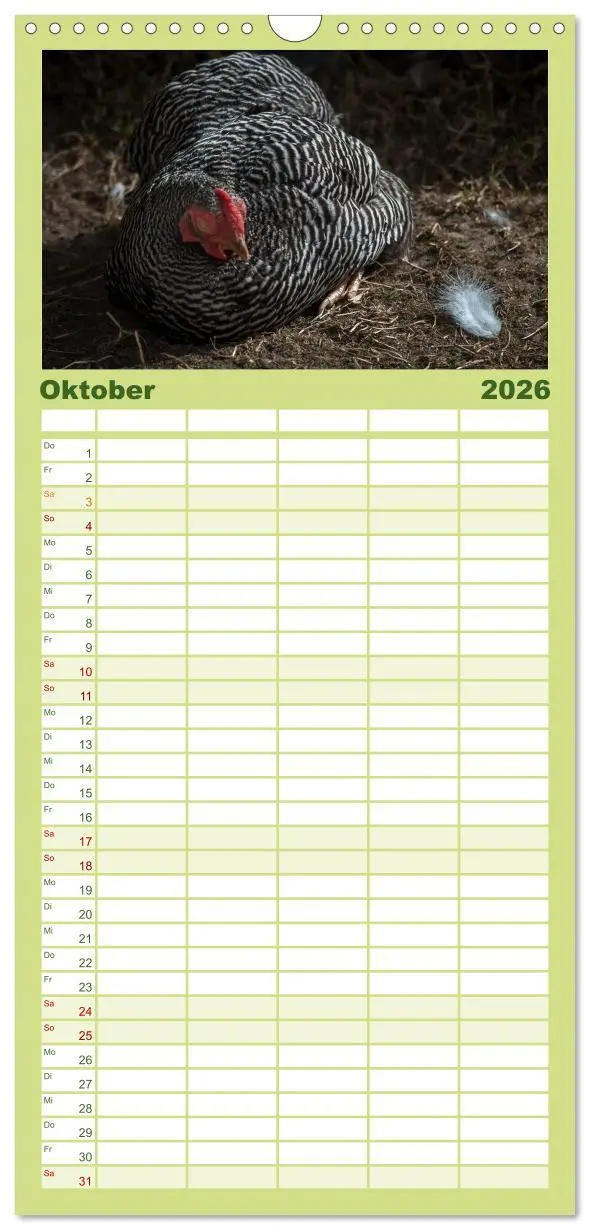 Bild: 9783516517170 | Familienplaner 2026 - Gartenhühner mit 5 Spalten (Wandkalender, 21...