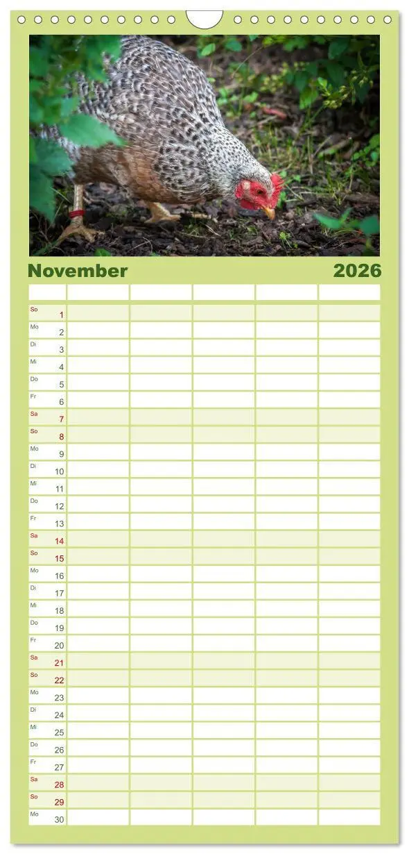 Bild: 9783516517170 | Familienplaner 2026 - Gartenhühner mit 5 Spalten (Wandkalender, 21...