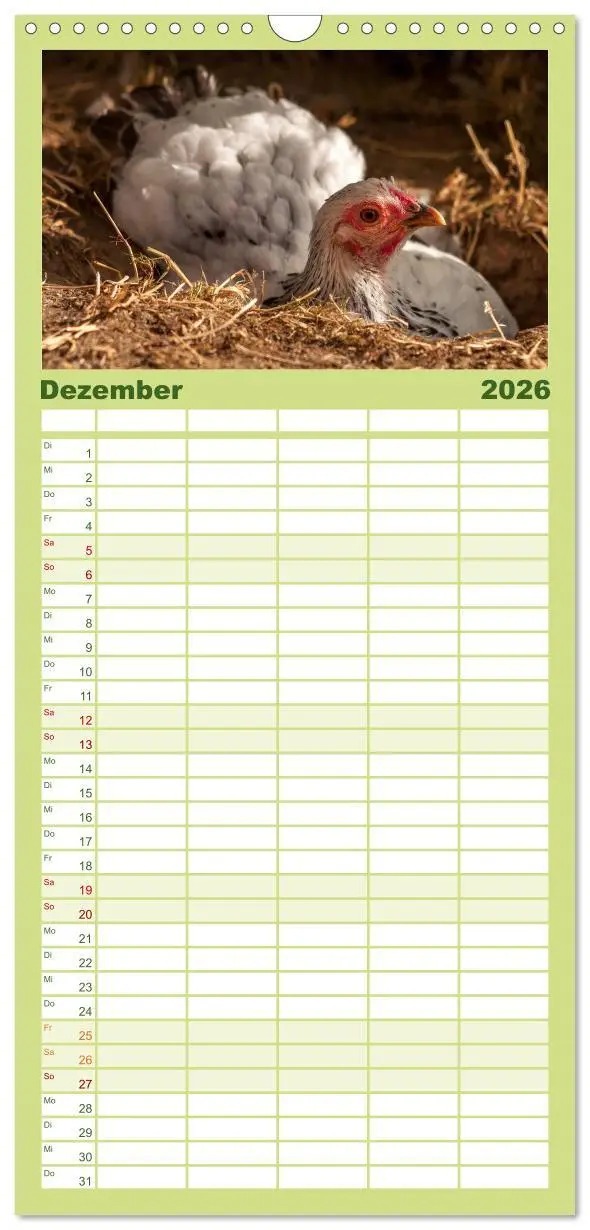 Bild: 9783516517170 | Familienplaner 2026 - Gartenhühner mit 5 Spalten (Wandkalender, 21...