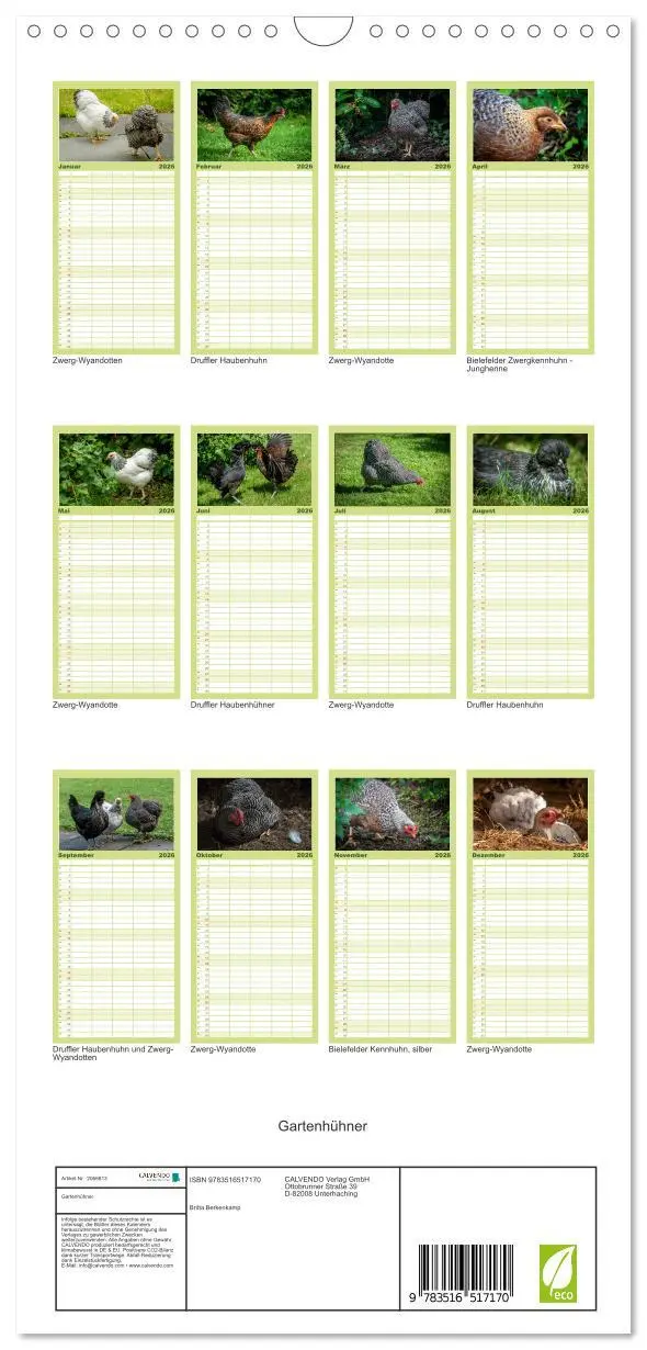 Bild: 9783516517170 | Familienplaner 2026 - Gartenhühner mit 5 Spalten (Wandkalender, 21...