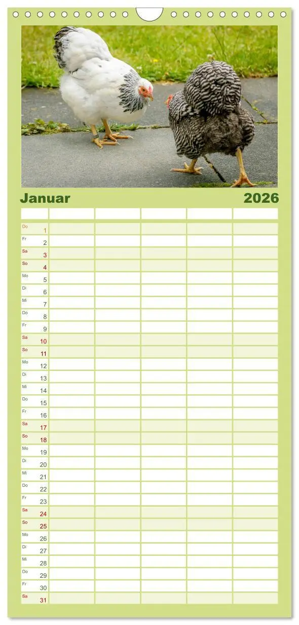 Bild: 9783516517170 | Familienplaner 2026 - Gartenhühner mit 5 Spalten (Wandkalender, 21...