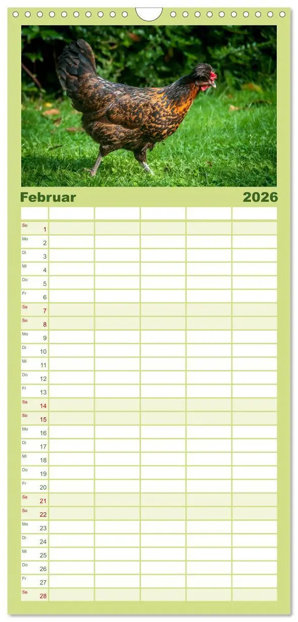 Bild: 9783516517170 | Familienplaner 2026 - Gartenhühner mit 5 Spalten (Wandkalender, 21...