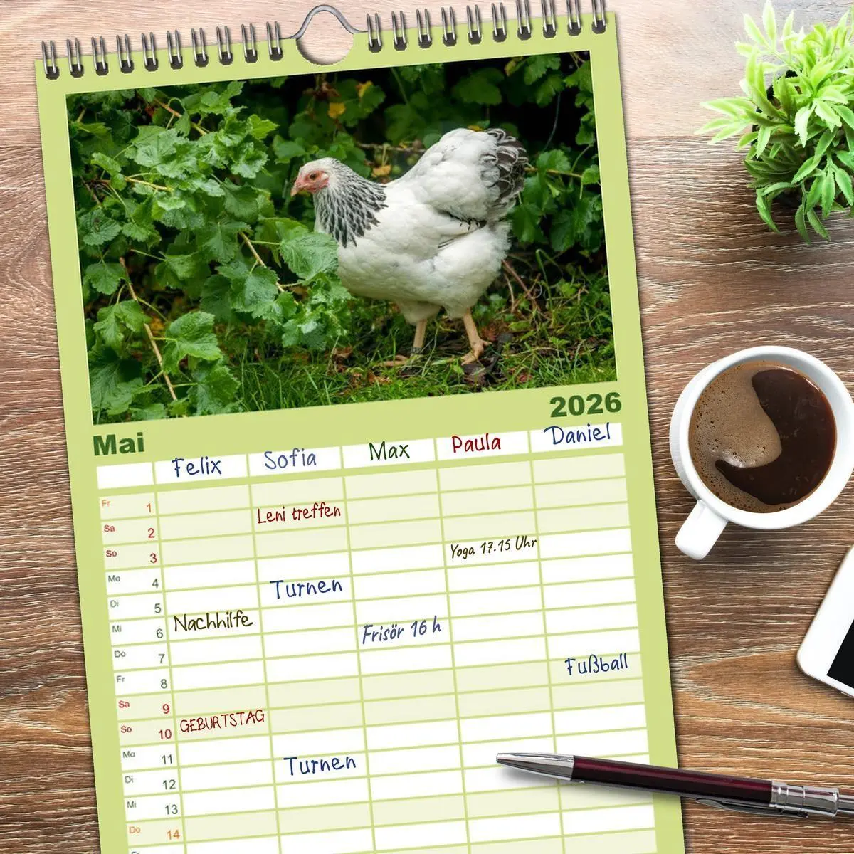 Bild: 9783516517170 | Familienplaner 2026 - Gartenhühner mit 5 Spalten (Wandkalender, 21...