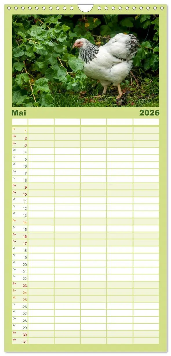 Bild: 9783516517170 | Familienplaner 2026 - Gartenhühner mit 5 Spalten (Wandkalender, 21...